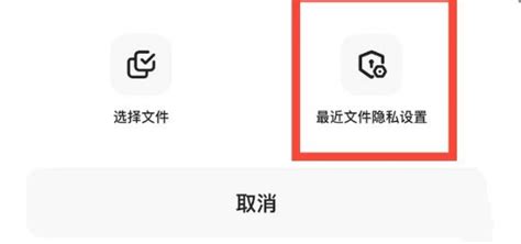 私密文件(私密文件在哪里查看)缩略图