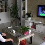 观看电视(观看电视剧的免费软件)缩略图