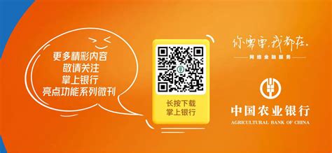 农行掌上银行(农行掌上银行下载)缩略图
