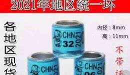 足环号查询(足环号查询信鸽成绩免费)缩略图