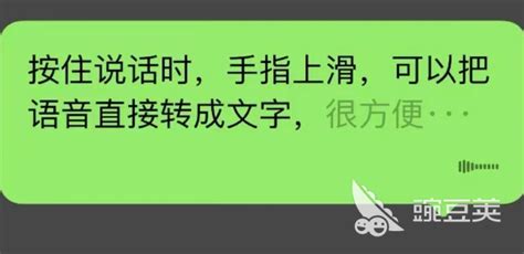 能和外国人聊天的软件,能和外国人聊天的软件免费缩略图